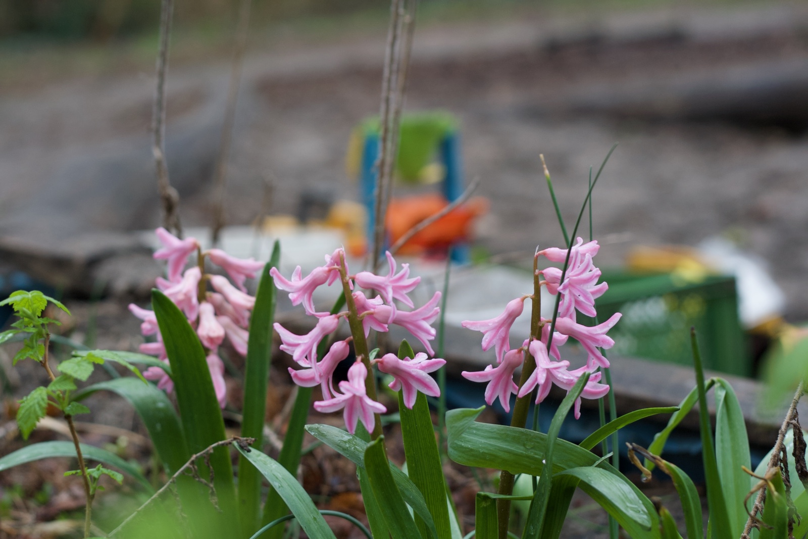 Putzen, bis der Frühling kommt